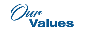 Our Values, Team Zold, Values
